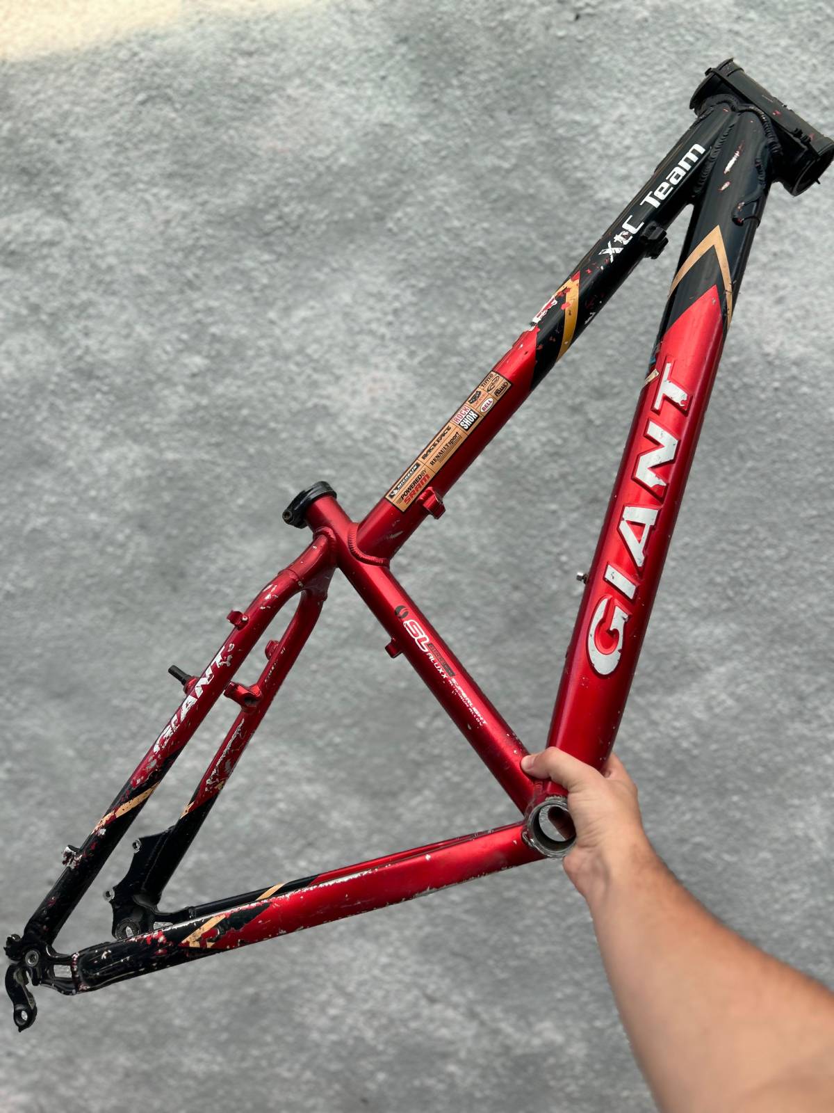 Foto de CUADRO GIANT XTC TEAM