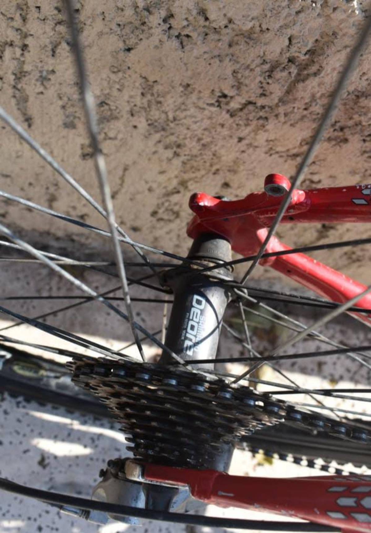 Foto de Bicicleta Zenith toga