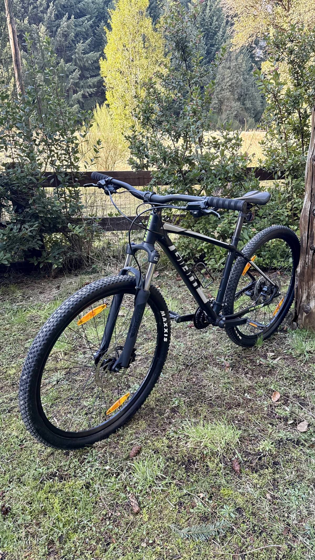Foto de Bicicleta de montaña Giant